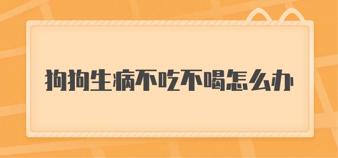 狗狗生病不吃不喝怎么办