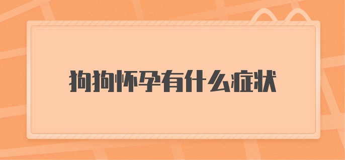 狗狗怀孕有什么症状