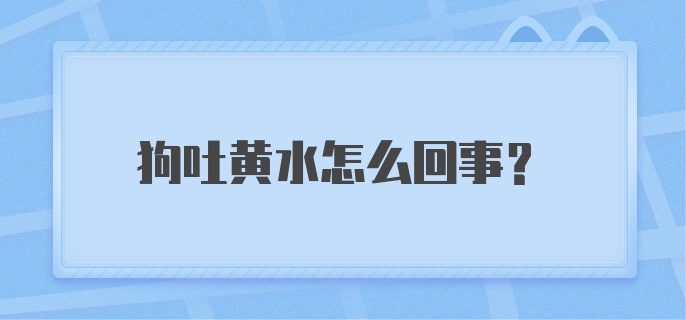 狗吐黄水怎么回事？