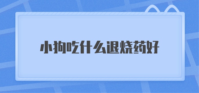 小狗吃什么退烧药好