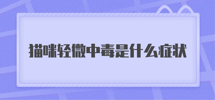 猫咪轻微中毒是什么症状