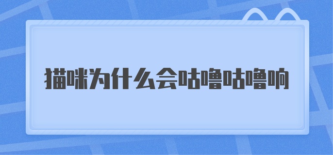 猫咪为什么会咕噜咕噜响