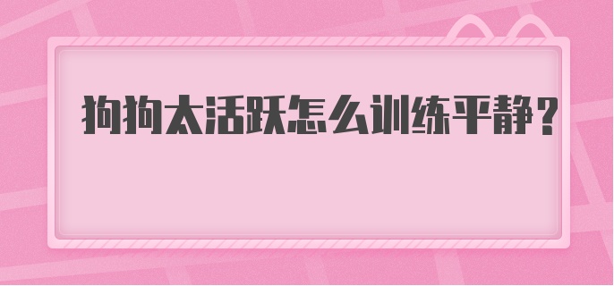 狗狗太活跃怎么训练平静？