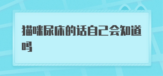 猫咪尿床的话自己会知道吗