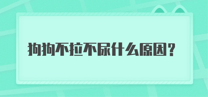 狗狗不拉不尿什么原因？