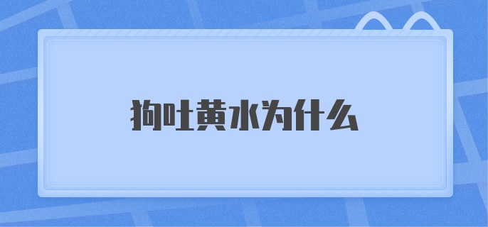 狗吐黄水为什么