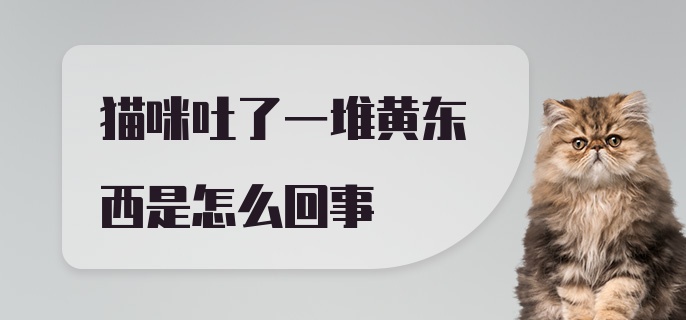 猫咪吐了一堆黄东西是怎么回事