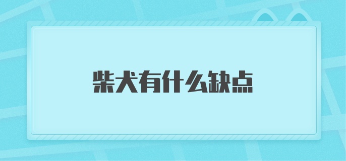 柴犬有什么缺点