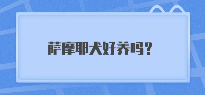 萨摩耶犬好养吗?