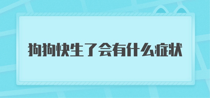 狗狗快生了会有什么症状