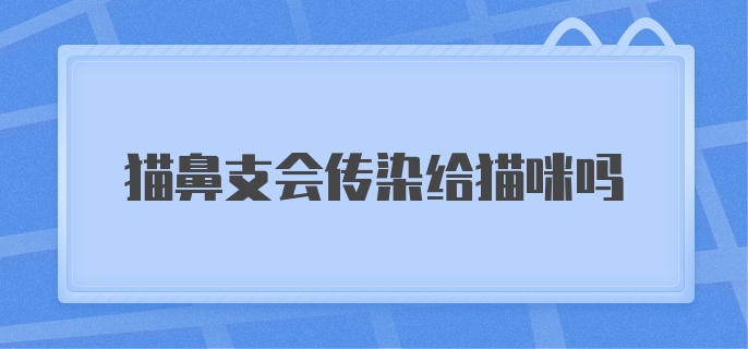 猫鼻支会传染给猫咪吗