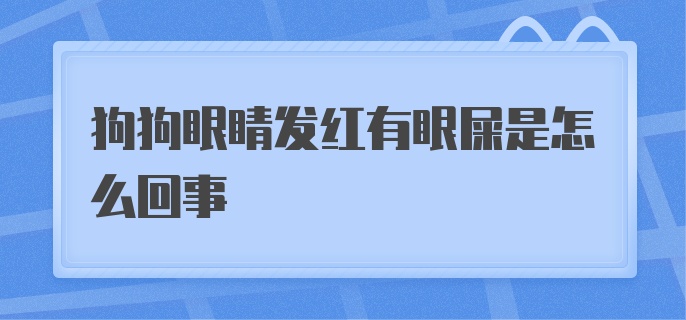 狗狗眼睛发红有眼屎是怎么回事