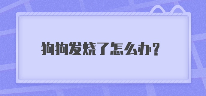 狗狗发烧了怎么办？