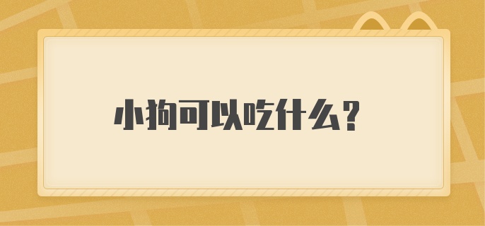 小狗可以吃什么？