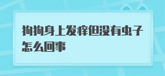 狗狗身上发痒但没有虫子怎么回事