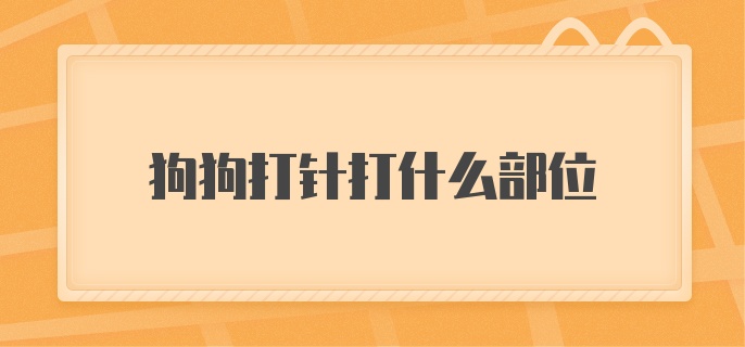 狗狗打针打什么部位