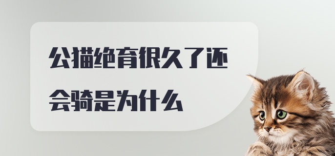 公猫绝育很久了还会骑是为什么