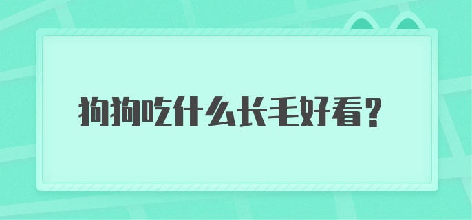 狗狗吃什么长毛好看？