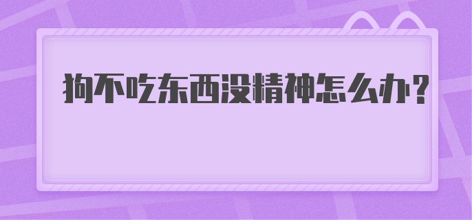 狗不吃东西没精神怎么办？