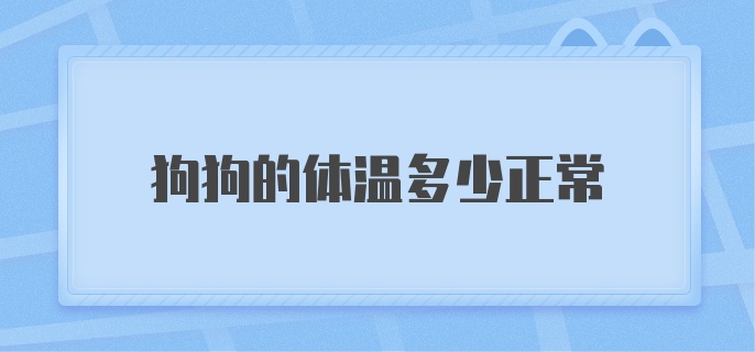 狗狗的体温多少正常