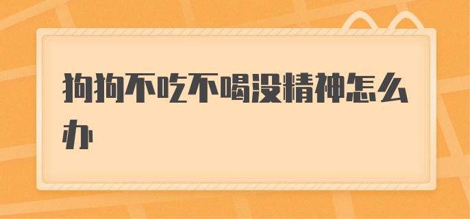 狗狗不吃不喝没精神怎么办