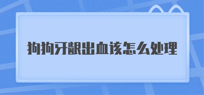 狗狗牙龈出血该怎么处理