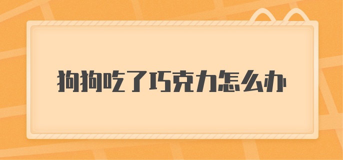 狗狗吃了巧克力怎么办？