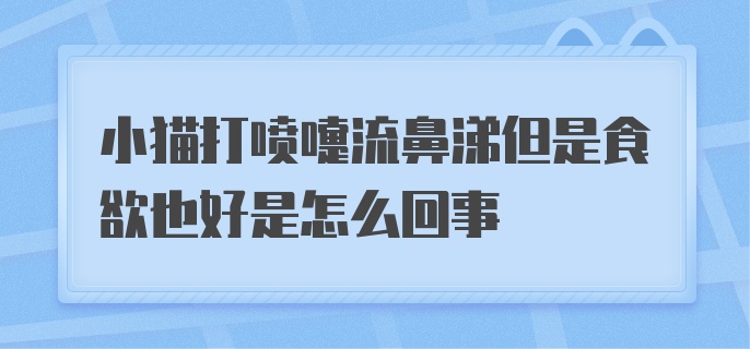 小猫打喷嚏流鼻涕但是食欲也好是怎么回事