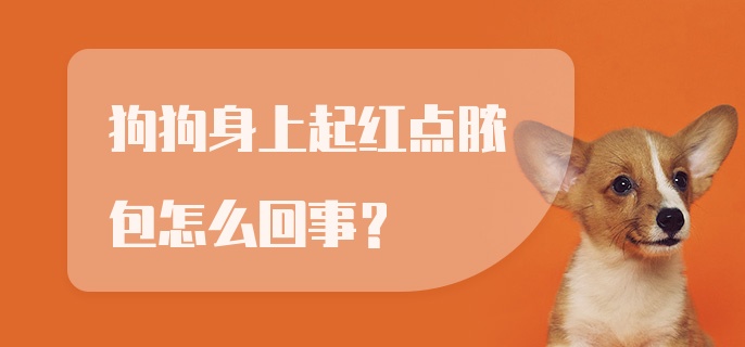 狗狗身上起红点脓包怎么回事？