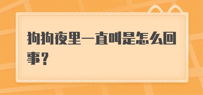 狗狗夜里一直叫是怎么回事？