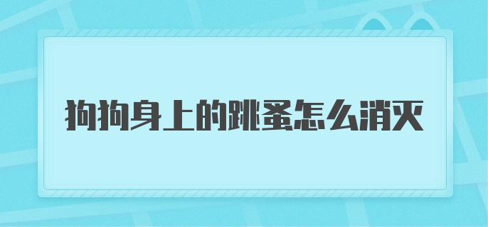 狗狗身上的跳蚤怎么消灭