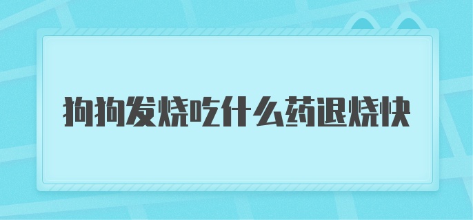 狗狗发烧吃什么药退烧快