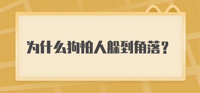 为什么狗怕人躲到角落？