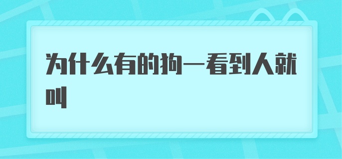 为什么有的狗一看到人就叫