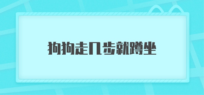 狗狗走几步就蹲坐