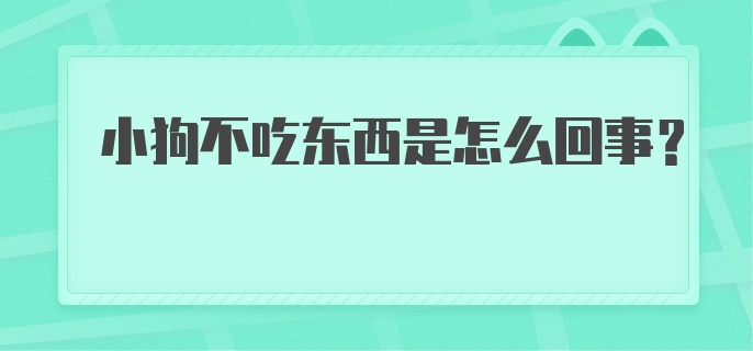 小狗不吃东西是怎么回事？