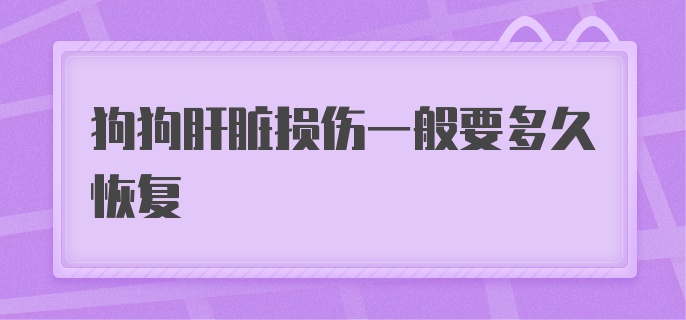 狗狗肝脏损伤一般要多久恢复