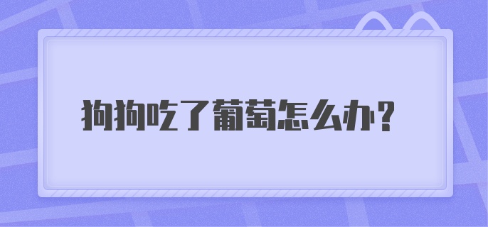 狗狗吃了葡萄怎么办?