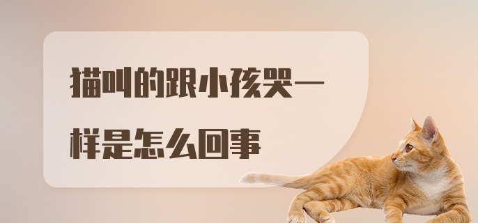 猫叫的跟小孩哭一样是怎么回事