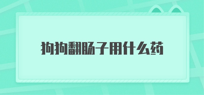 狗狗翻肠子用什么药