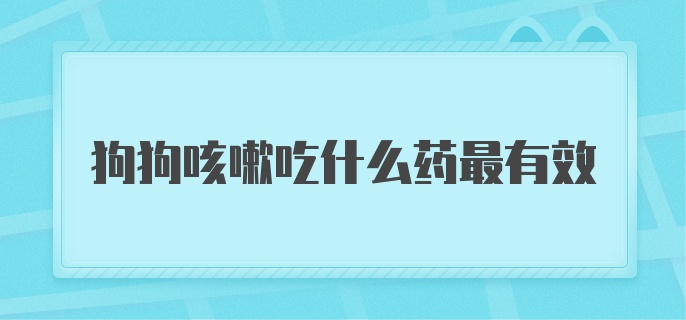 狗狗咳嗽吃什么药最有效