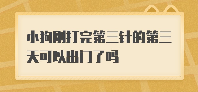 小狗刚打完第三针的第三天可以出门了吗