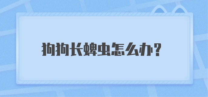 狗狗长蜱虫怎么办？