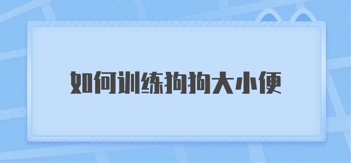 如何训练狗狗大小便