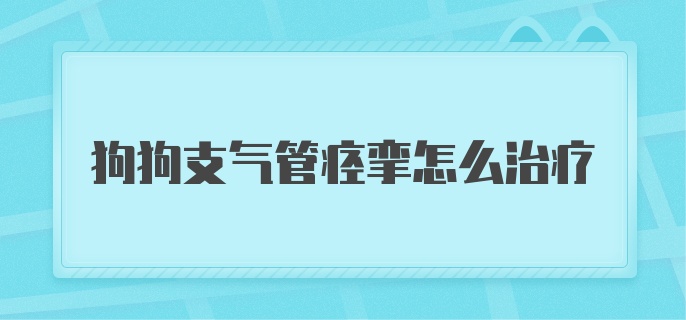 狗狗支气管痉挛怎么治疗