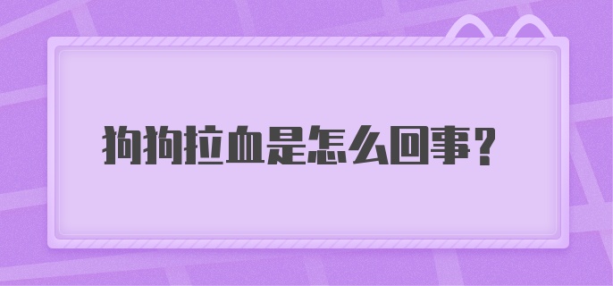 狗狗拉血是怎么回事？