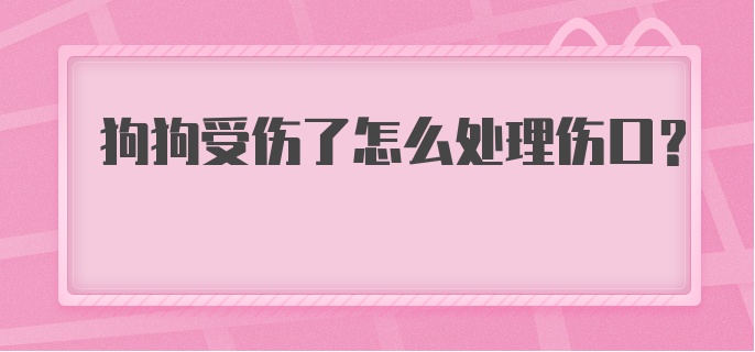 狗狗受伤了怎么处理伤口？