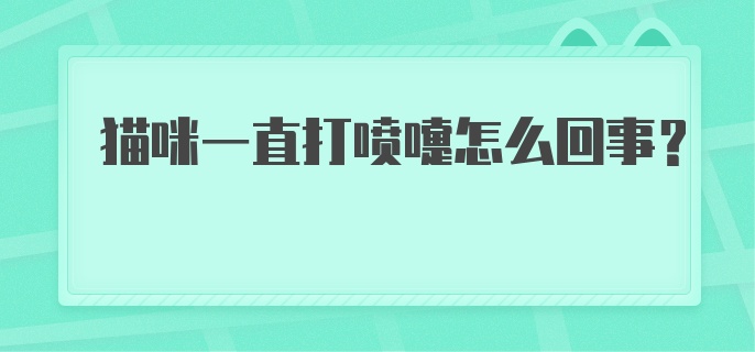 猫咪一直打喷嚏怎么回事?