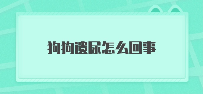 狗狗遗尿怎么回事