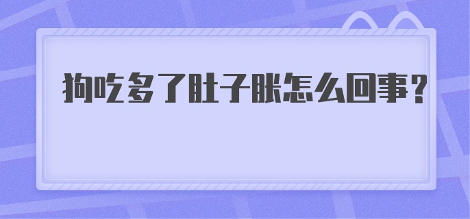 狗吃多了肚子胀怎么回事?